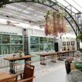 Tree Tales Cafe Preview